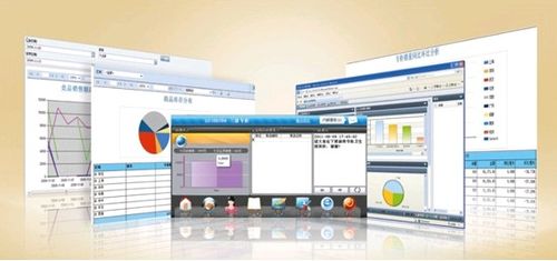 收銀系統(tǒng)軟件 收銀機軟件 便利店收銀軟件